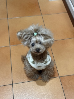 ������������B