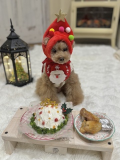 �����N��2025�B