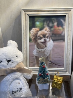 �_�C�S�������N���B