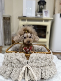 �g���~���O�[�߁B